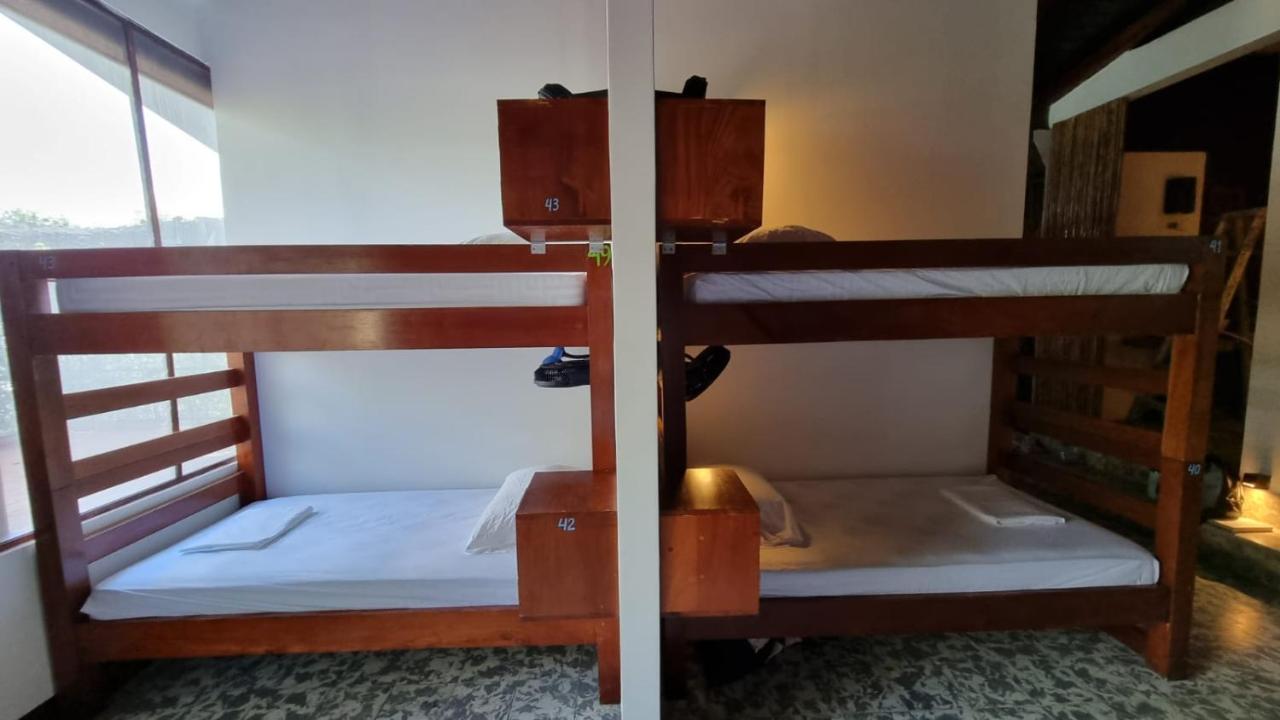Paradiso Hostel 라 라구나 외부 사진